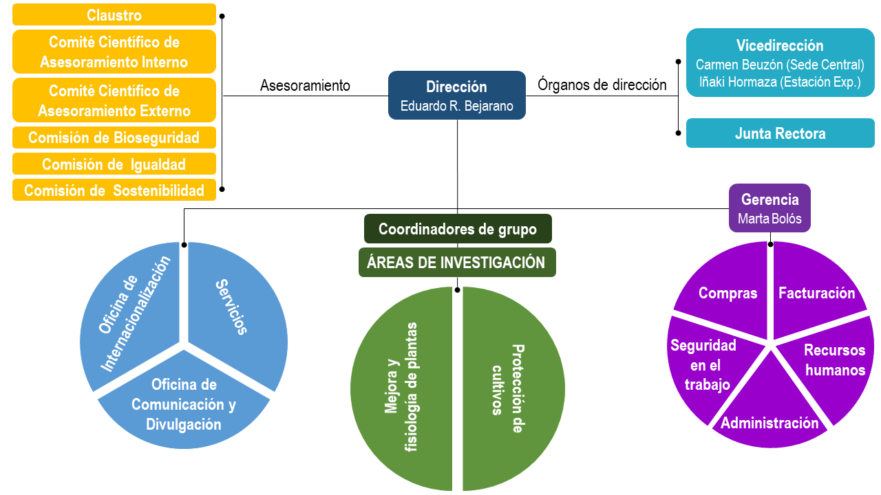 Organigrama